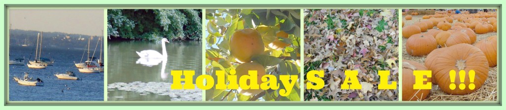 Holiday Sale Collage Link