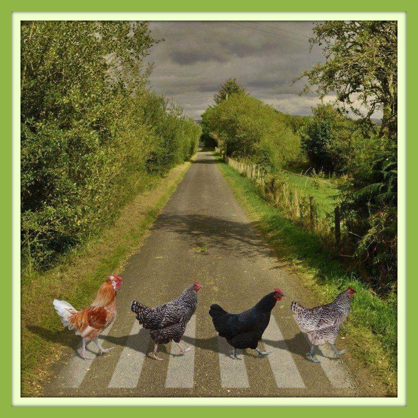 Beatles Chicken