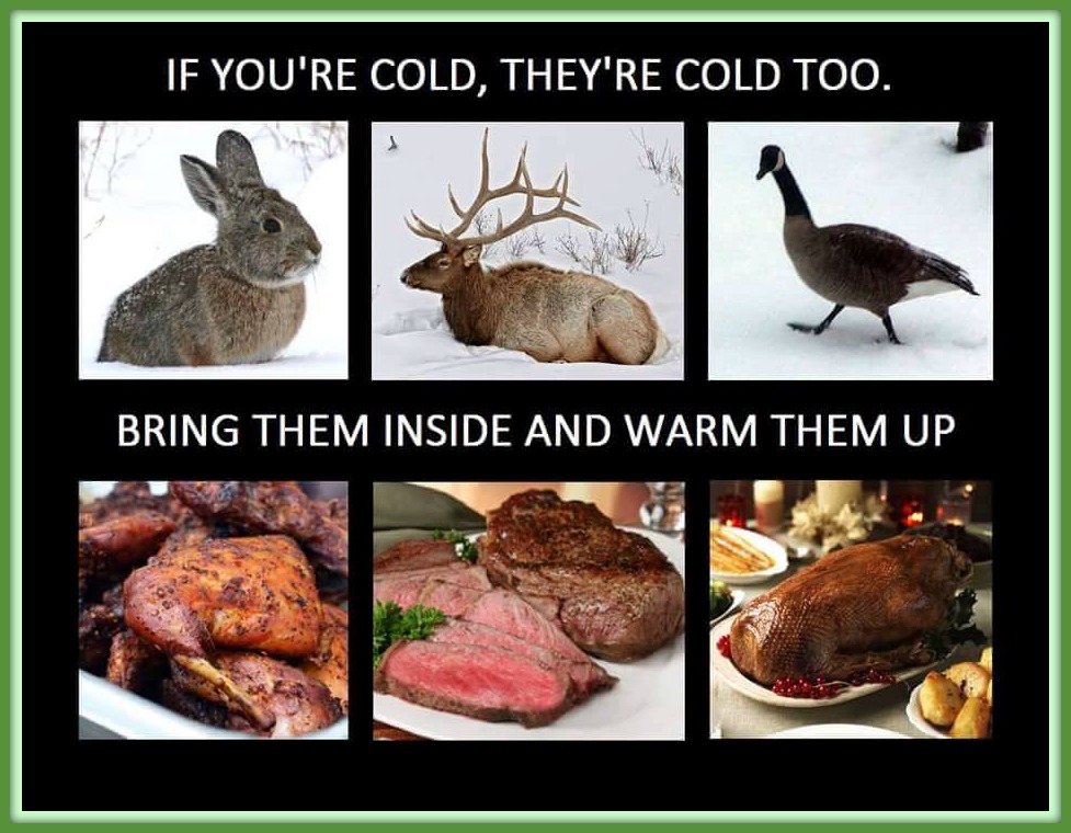 Warm and Cold Animals