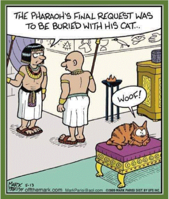 pharaohcat