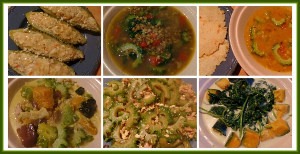 Clockwise from Top Left: Stuffed bitter gourd, bitter gourd in mungbean soup with tomatoes and camote leaves, bitter gourd in dhal curry served with homemade flatbread, bitter gourd leaves in coconut milk with pumpkin, stir-fried thin-sliced bitter gourd with chicken pieces, chopped bitter gourd with okra, eggplant and pumpkin in coconut milk. 